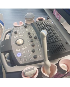 Siemens Acuson X300 PE Ultrasound Machine Ultrasound