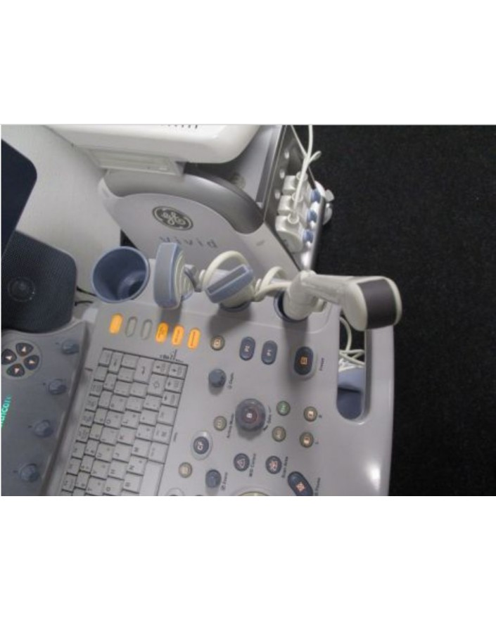 GE Logiq P6 PRO BT11 Ultrasound with Probes Ultrasound