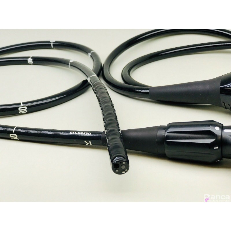 Olympus EVIS EXERA III CF-HQ190L Video Colonoscope Endoscope New En...