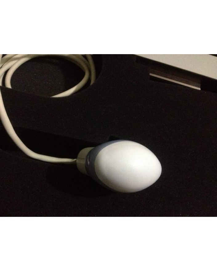 GE RAB4-8L 4D Ultrasound Probe Transducer New Transducer